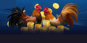 Gà Đá Đẹp Tại 33win – Những Yếu Tố Tạo Nên Chiến Kê Hoàn Hảo