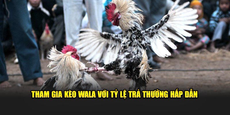 Tham gia kèo Wala với tỷ lệ trả thưởng hấp dẫn